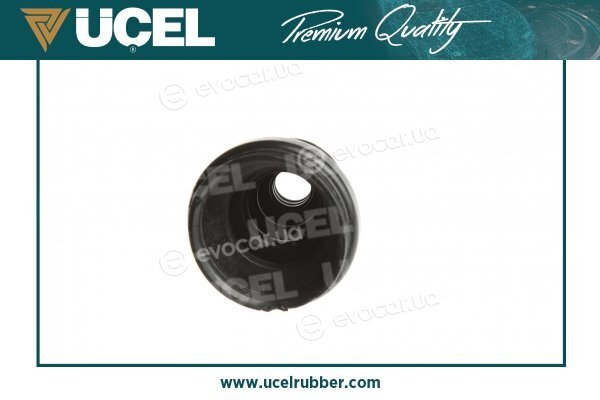 Ucel 20101