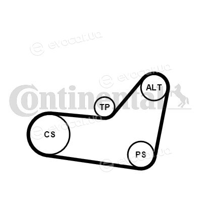Continental 6PK1080K4