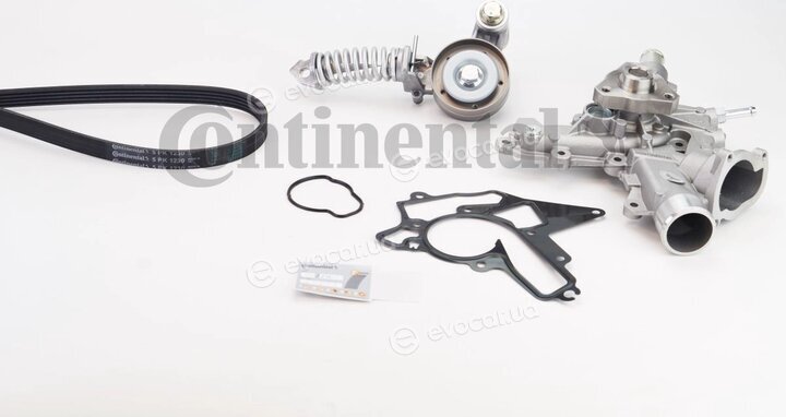 Continental 5PK1230WP3