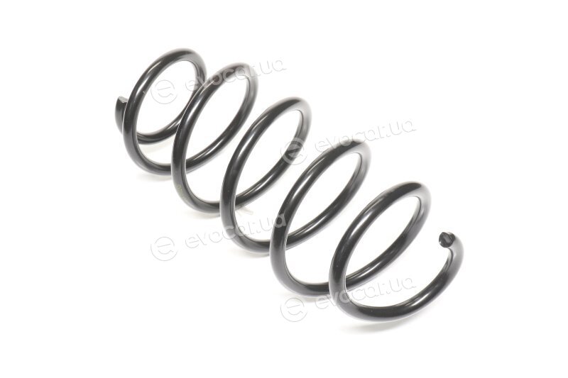 Lesjofors 4095085