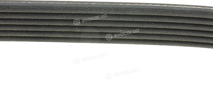 Dayco 6PK1815