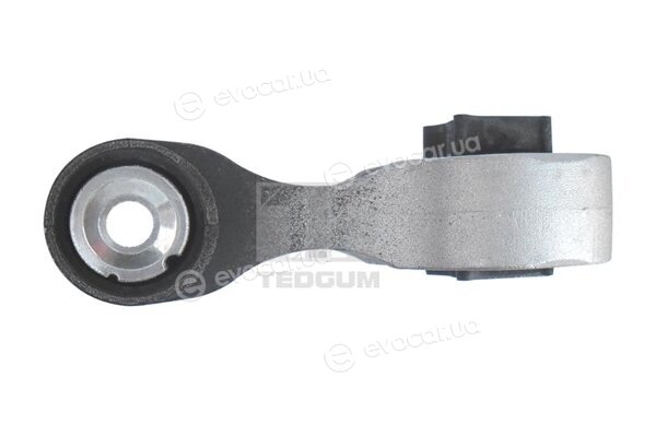 Tedgum 00507121