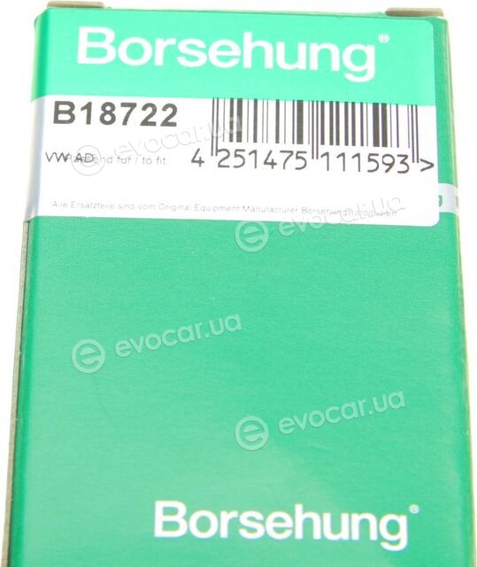 Borsehung B18722