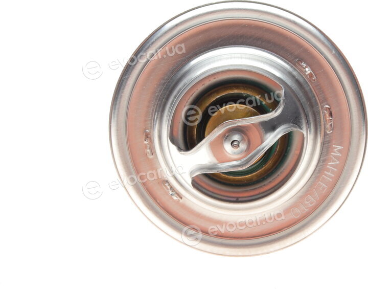 Mahle TX 13 71D