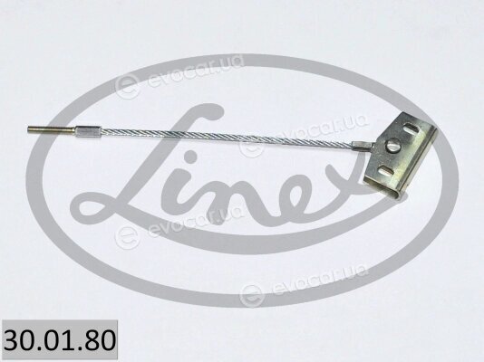 Linex 30.01.80