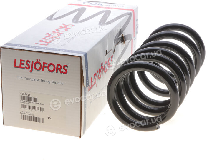 Lesjofors 4259254