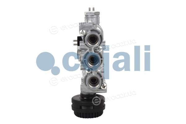 Cojali 2209448