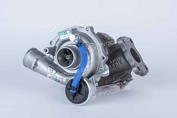 BorgWarner 53039880061/R