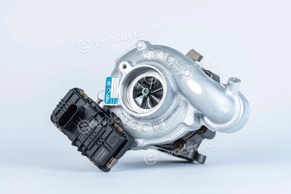 BorgWarner 53039980523