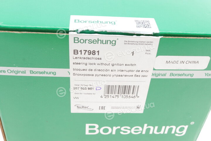 Borsehung B17981