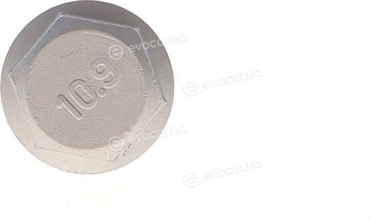 Solgy 204218