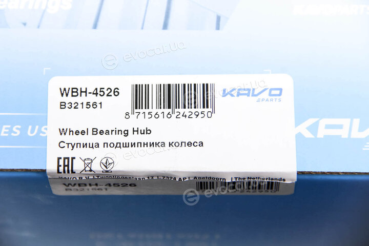 Kavo WBH-4526