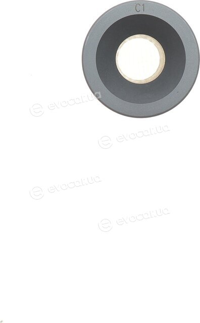 Mahle 001 PI 00177 001