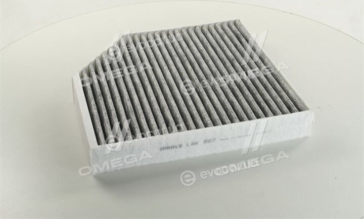 Mahle LAK 667