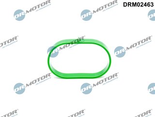 Dr. Motor DRM02463