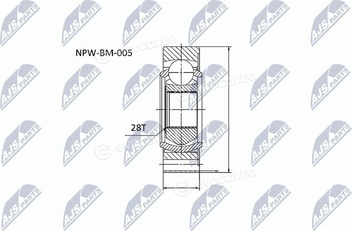 NTY NPW-BM-005