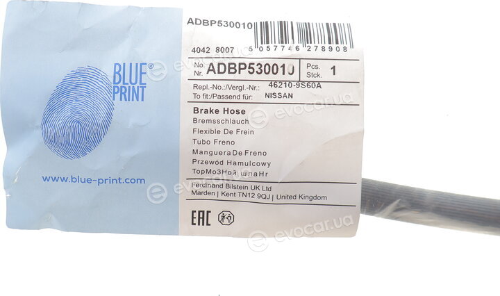 Blue Print ADBP530010