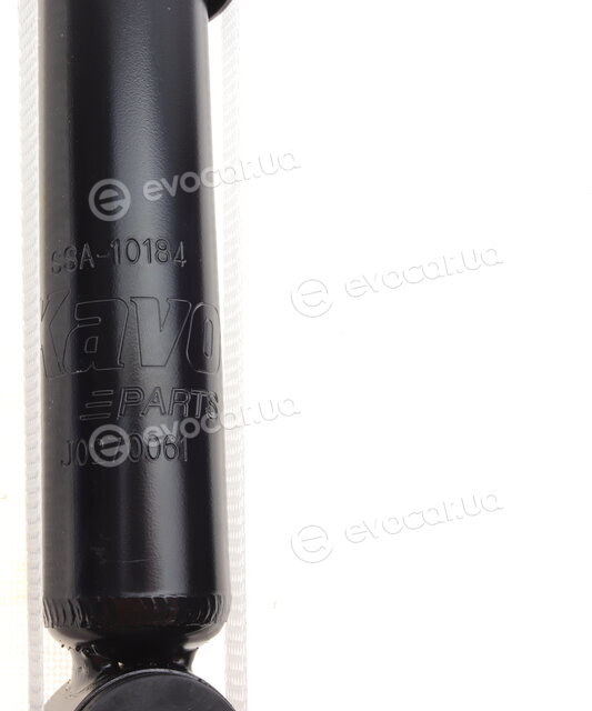Kavo SSA-10184
