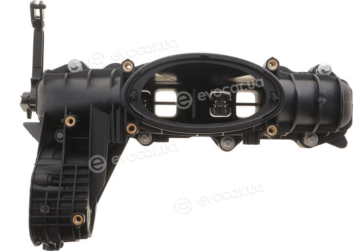 AIC 55925