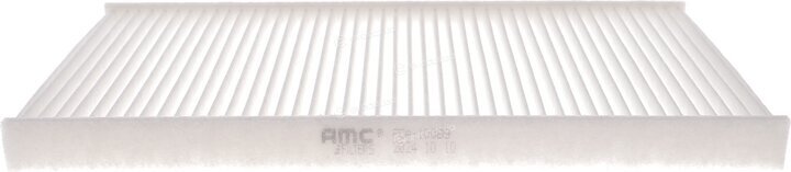 AMC FCA-10089