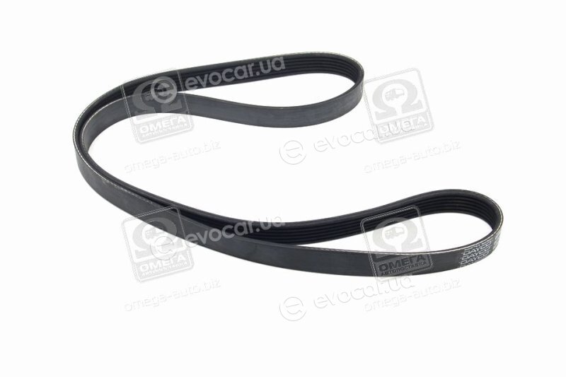 Dayco 6PK1388