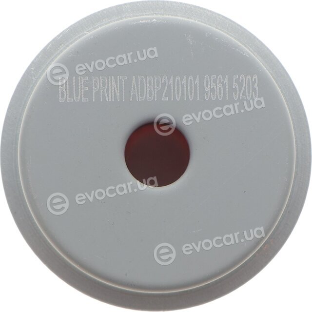 Blue Print ADBP210101