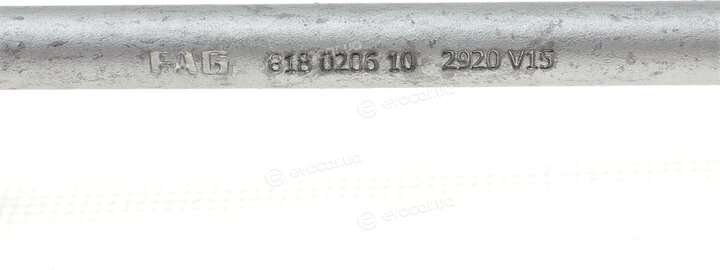 FAG 818 0206 10
