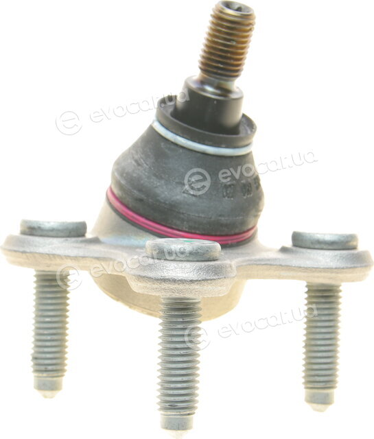 Borsehung B11341