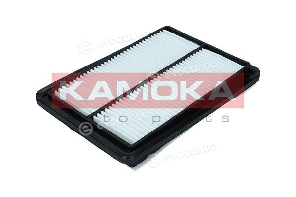 Kamoka F247601