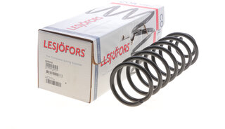 Lesjofors 4295016