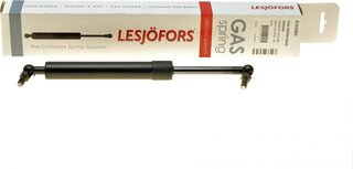 Lesjofors 8162005