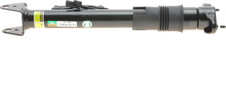 Arnott SK-3029