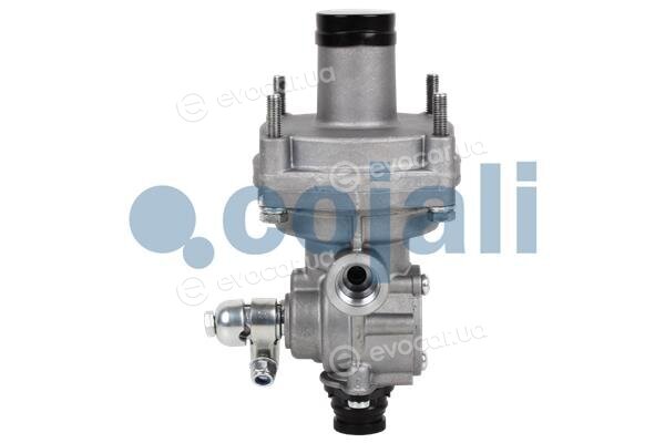Cojali 2220331