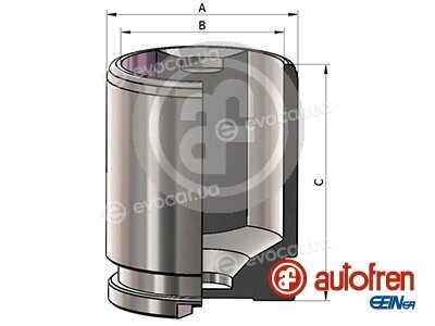Autofren D025787