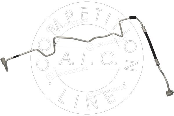 AIC 58923
