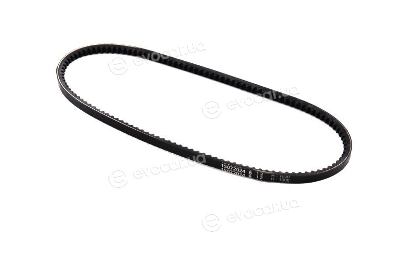 Continental AVX10X800