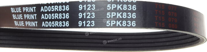 Blue Print AD05R836
