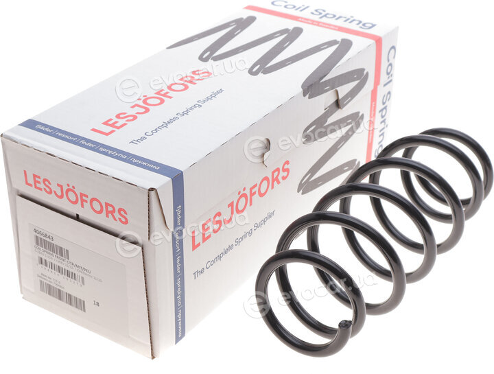 Lesjofors 4066843