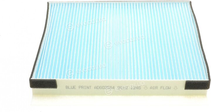 Blue Print ADG02564