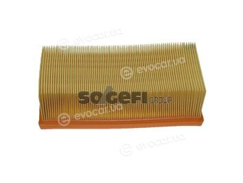 Coopers Fiaam PA7346