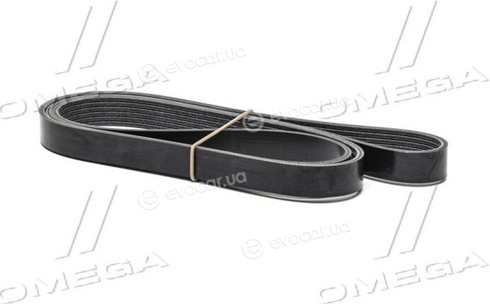 Dayco 6PK1715