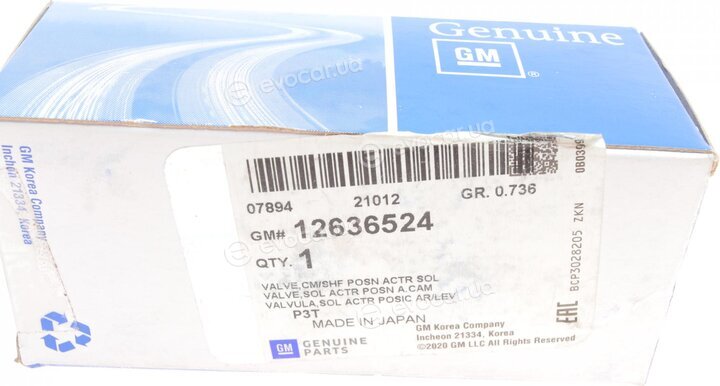 GM / General Motors 12636524