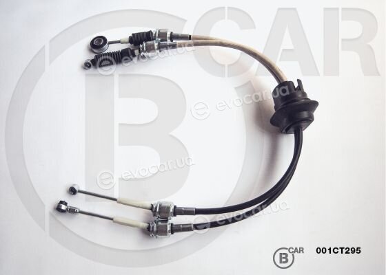 BCAR 001CT295