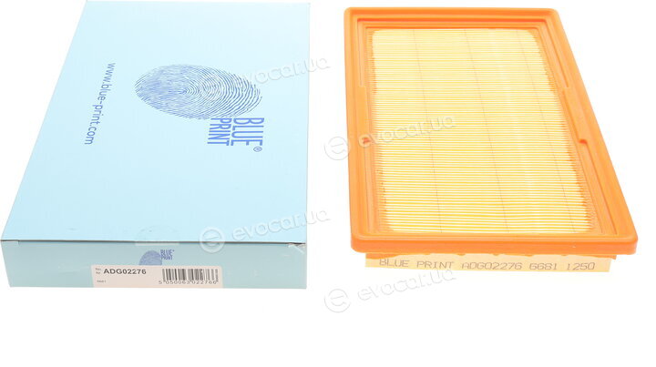 Blue Print ADG02276