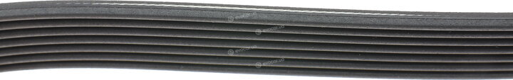 Hutchinson 2682 K 7
