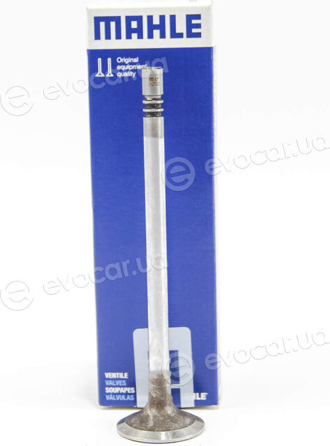 Mahle 013 VE 31276 000