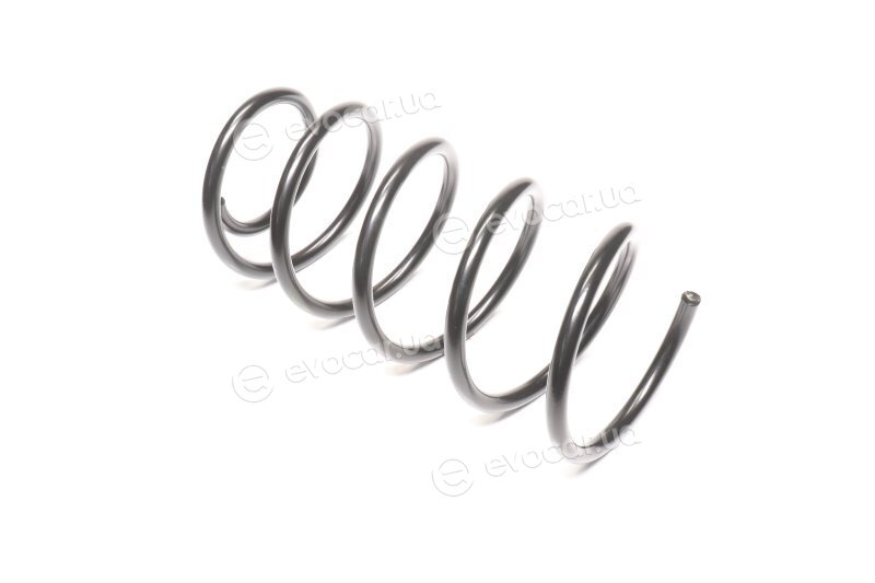Lesjofors 4214200