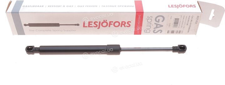 Lesjofors 8075702