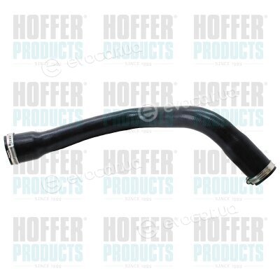 Hoffer 961006