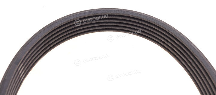 Continental 6PK1173